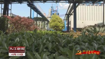 还长江一江清水一岸翠绿 九江打造长江最美岸线的园林景观实践